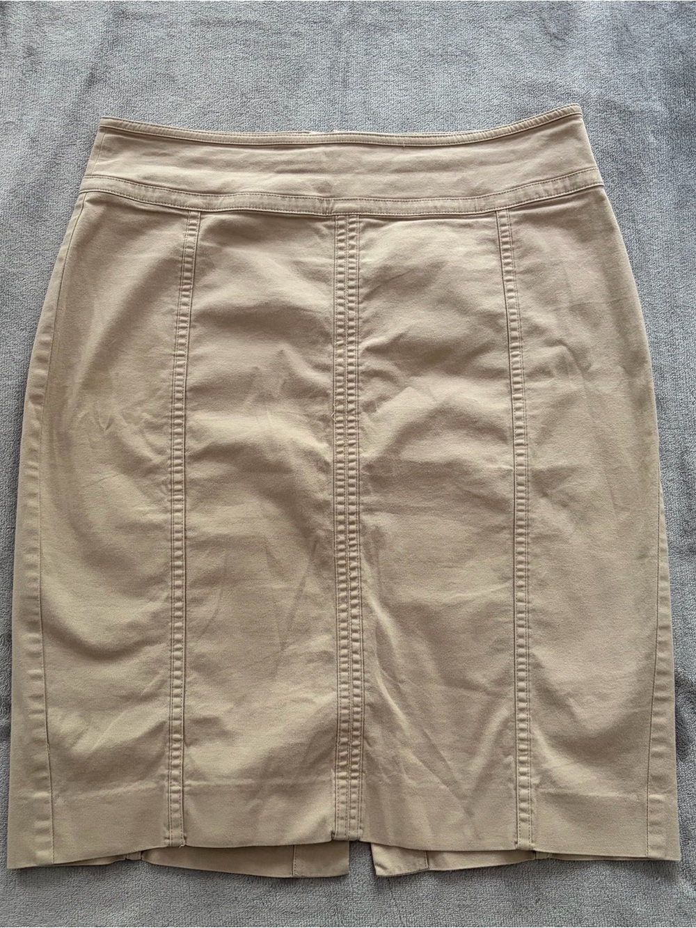 Beige Panel Pencil Skirt - Women's Classic Style